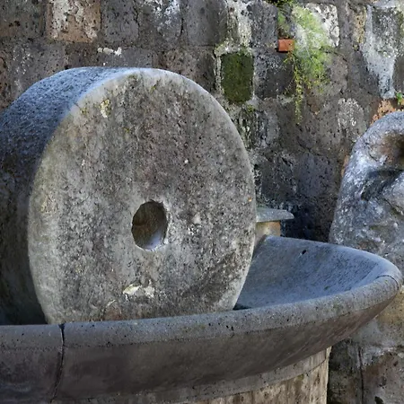 - Florinda ヴィラ