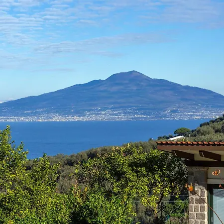 - Florinda ソレント