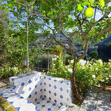 - Florinda ヴィラ *