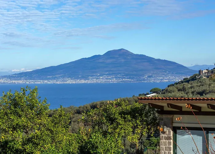 - Florinda סורנטו